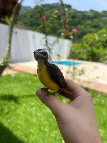 Casa Cristo Redentor c/piscina