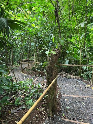 Yogachal Vista Mar Bamboo House in the Jungle