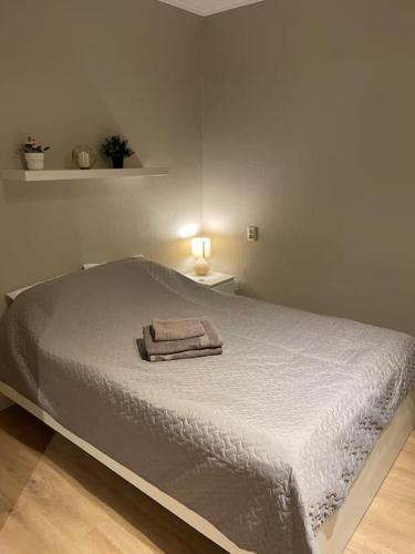 Cozy apartment close to Riga Airport, Riga (fotografie 4)