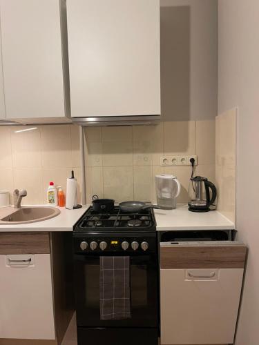 Cozy apartment close to Riga Airport, Riga (fotografie 7)