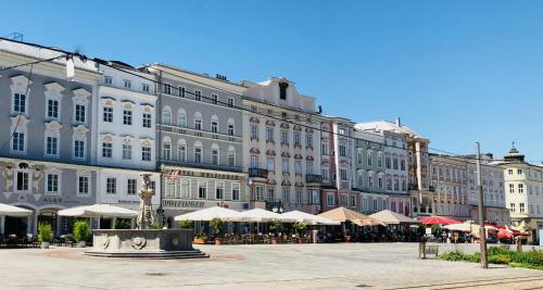  LINZ CITY CENTER - Historisches Apartment & Refugium, Pension in Linz