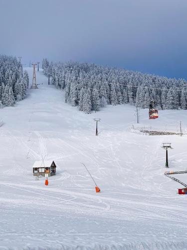 กีฬาและกิจกรรมสันทนาการ, Erzgebirge Suite Bergruhe in โอเบอร์ไวเซนทัล
