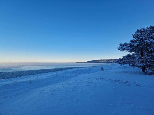 Surrounding environment, OOD Hotels Lohusalu LEIDA & ENNO in Laulasmaa