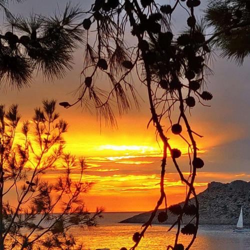 Aphrodite Studios Kalymnos - main image