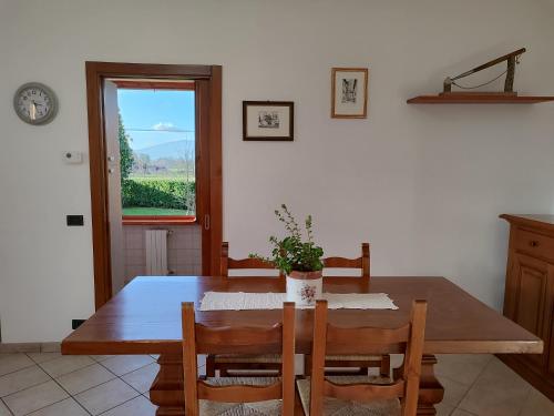 Villa Gaia Truffle Experience
