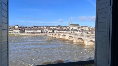 L'Horizon de la Loire-Vue sur Blois et la Loire-6 pers - Location saisonnière - Blois