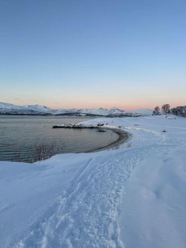 Koselig leilighet med havutsikt, Tromso