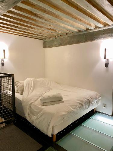 Loft moderne & cosy Terreaux / Croix Rousse - Courts et longs séjours, Lyon (photo 3)