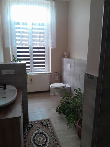 浴室, 1 Zi, FeWo mit Küche und Bad (1 Zi, FeWo mit Kuche und Bad) in 舊特雷普托
