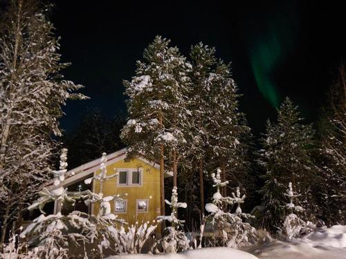 Lapland Forest Lodge