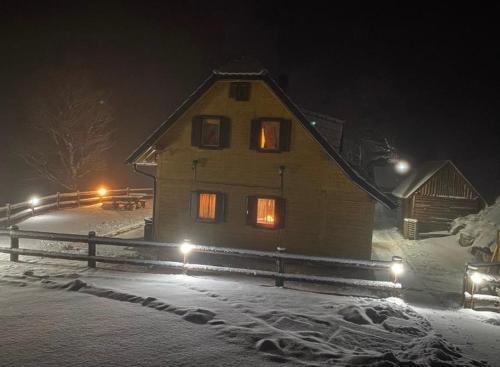 Vila Dizdarevic Kopaonik - image 4
