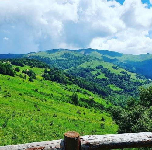 Vila Dizdarevic Kopaonik - main image