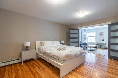 Gorgeous & Sunny Executive Suite #102 - Apartment - Halifax