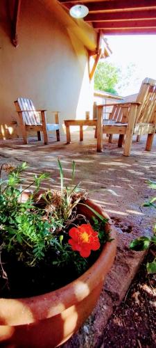 La Soñada Cortaderas