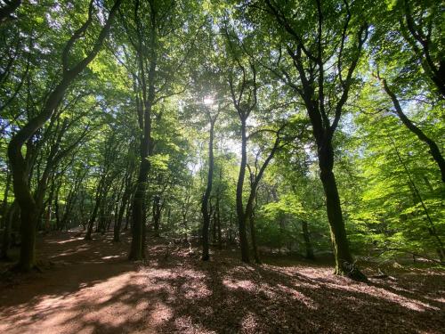 Luxury chalet on cozy family campsite. in Garderen