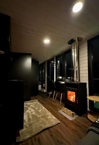 Aurora Forest Cabin in Ylikyla