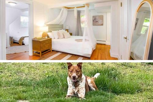 B&B North Haven - Trail-side Haven Retreat! Pet friendly - Bed and Breakfast North Haven