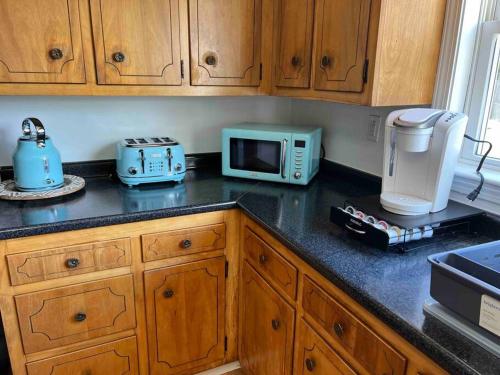 Trail-side Haven Retreat! Pet friendly in North Haven, USA