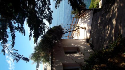 Villa Mignucci - image 11
