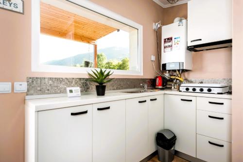RAI Lodges Bran - Predelut 5