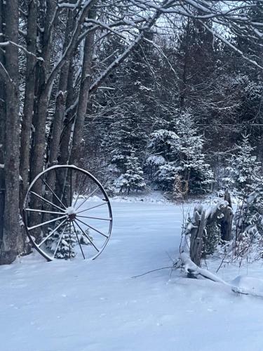 Uitzicht, Tiny Home Bliss in Bancroft (ON)