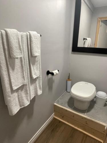 Badkamer, Tiny Home Bliss in Bancroft (ON)
