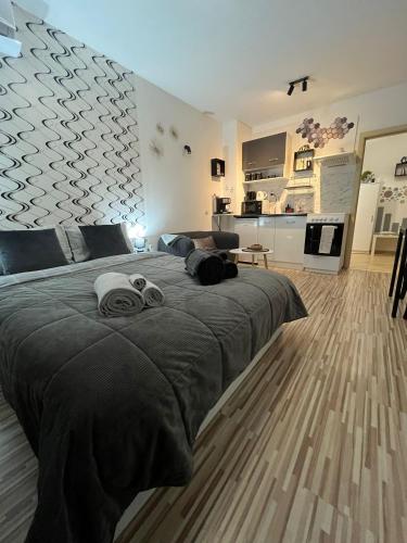 Studio John's, Blagoevgrad (foto 9)