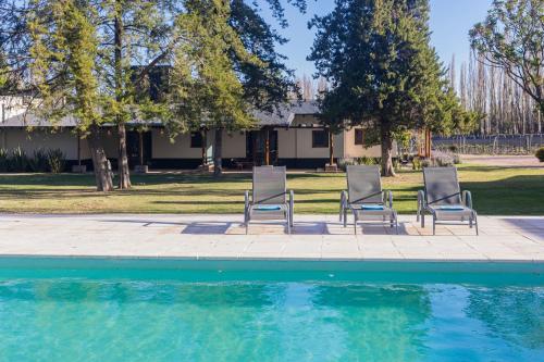 Ambiente nas Imediações, Algodon Wine Estates & Champions Club in Pedro Vargas