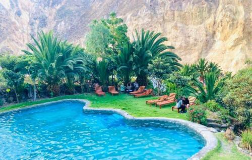 . JARDIN EL EDEN DE TOMAS