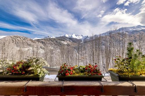 Chalet BRAGARD-Boutique Chalet & SPA - 전망