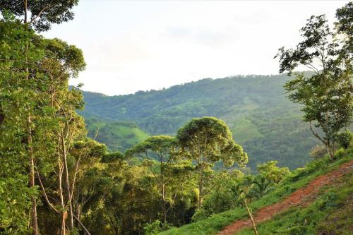 Finca Makambu