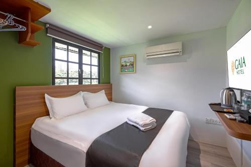 GAIA Hotel Room Type - Standard Double Room