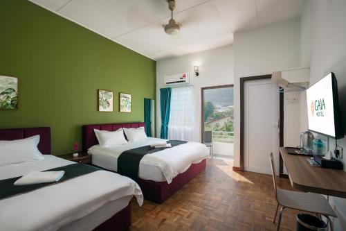 GAIA Hotel Room Type - Family Room