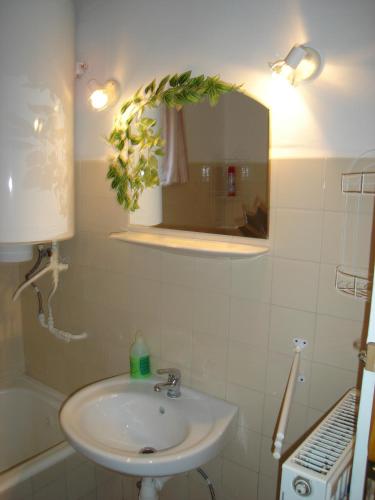 Park Nyaralóház - image 3