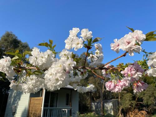 Tindoona Cottages