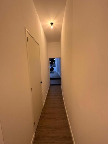 luxe pas gerenoveerd monumentaal appartement in Statenkwartier