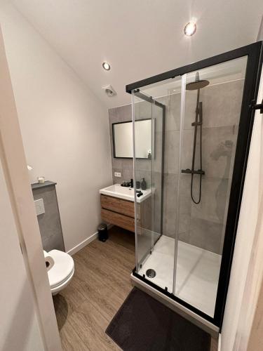 luxe pas gerenoveerd monumentaal appartement, Maastricht (foto 9)