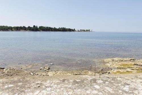 Istrian villa with unique sea view