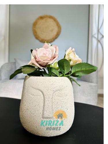 Kiriza Homes photo 2