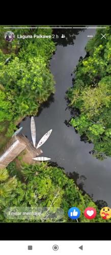 Misahualli Laguna Paikawe B&B in Puerto Misahualli