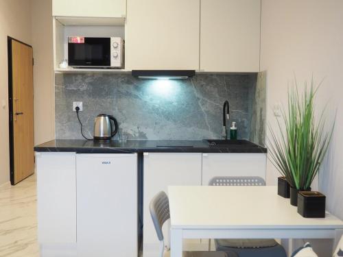 MoonApart A2 Room Type - One-Bedroom Apartment