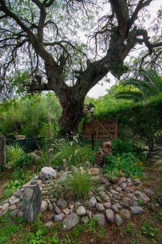 El Viejo Algarrobo - Hosteria Serrana