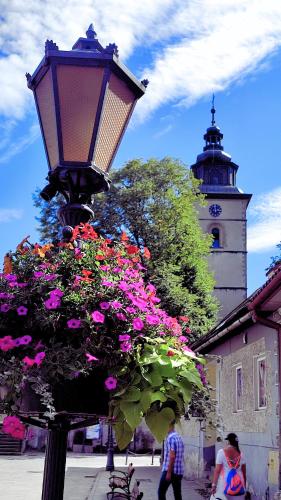 Chwile w Starym Saczu, sauna i beczka - Stary Sacz