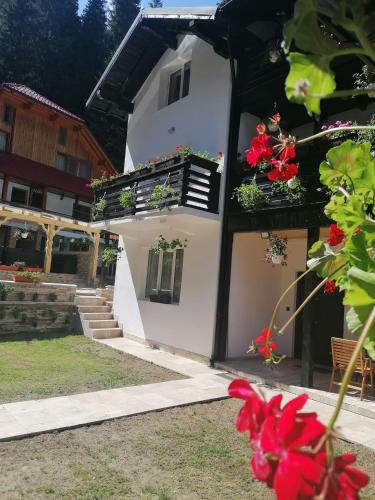 Vista exterior, Padina Lodge in Poiana Tapului