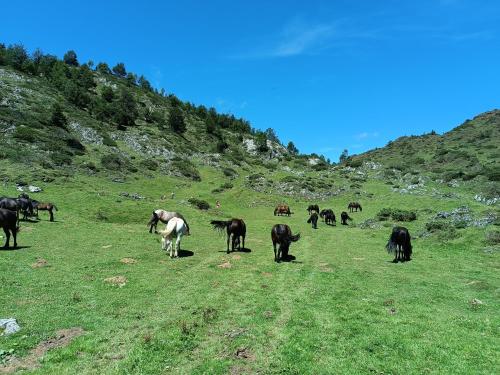 Gîte Groupe La Farigoule à Siguer