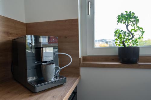Cozy City Dream Apartment mit Terrasse und Parkplatz - 90m², Drážďany (fotografie 5)