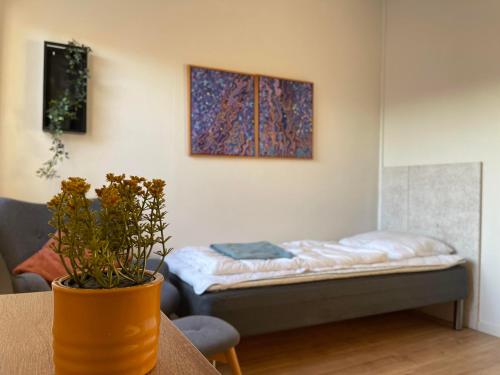 Toftum Bjerge Camping & Cottages - main image