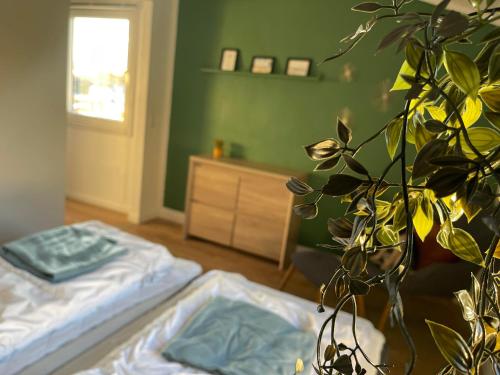 Toftum Bjerge Camping & Cottages - image 8