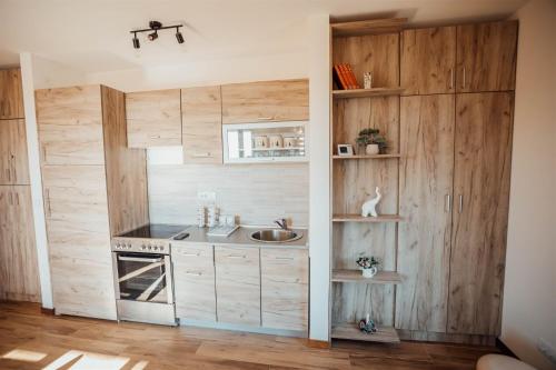 Apartman Petar 26 in Divcibare