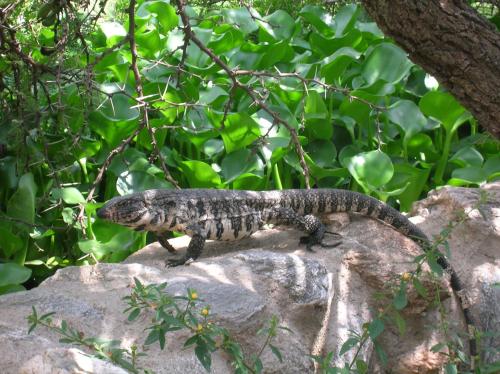 Posada Los Antiguos-Adults Only